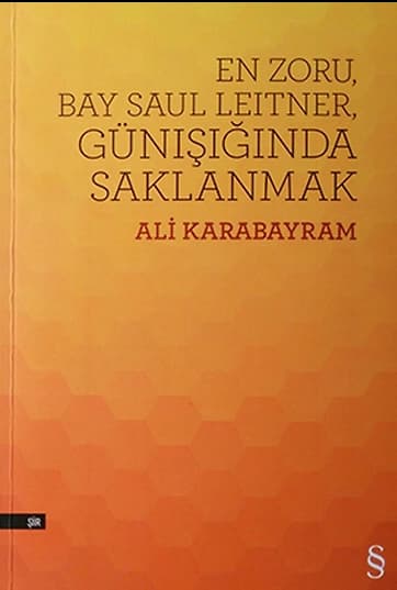 En Zoru, Bay Saul Leitner, Gün Işığında Saklanmak