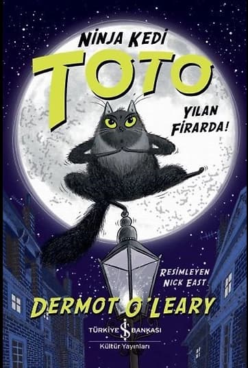 Ninja Kedi Toto Yilan Firarda!