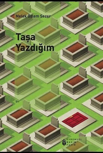 Taşa Yazdığım