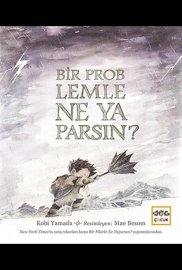 Bir Problemle Ne Yaparsın?