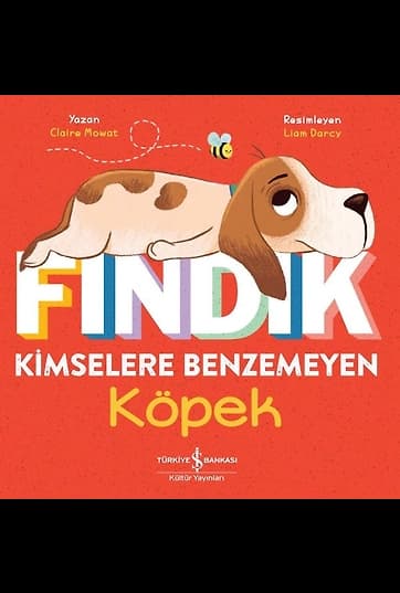 Fındık Kimselere Benzemeyen Köpek