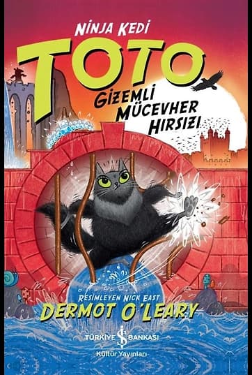 Ninja Kedi Toto Gizemli Mücevher Hırsızı