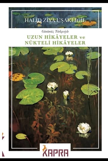 Uzun Hikayeler ve Nükteli Hikayeler