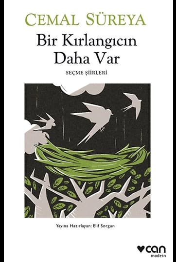 Bir Kırlangıcın Daha Var