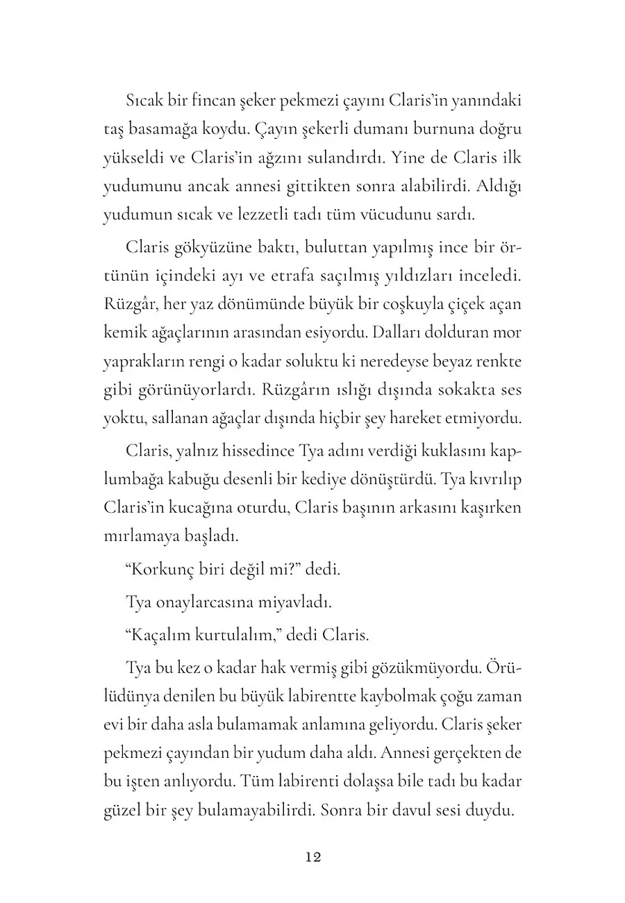 Zorlu Sınavlar (Sırfısıldayan 2) (Ciltli, Şömizli) – Sayfa 2