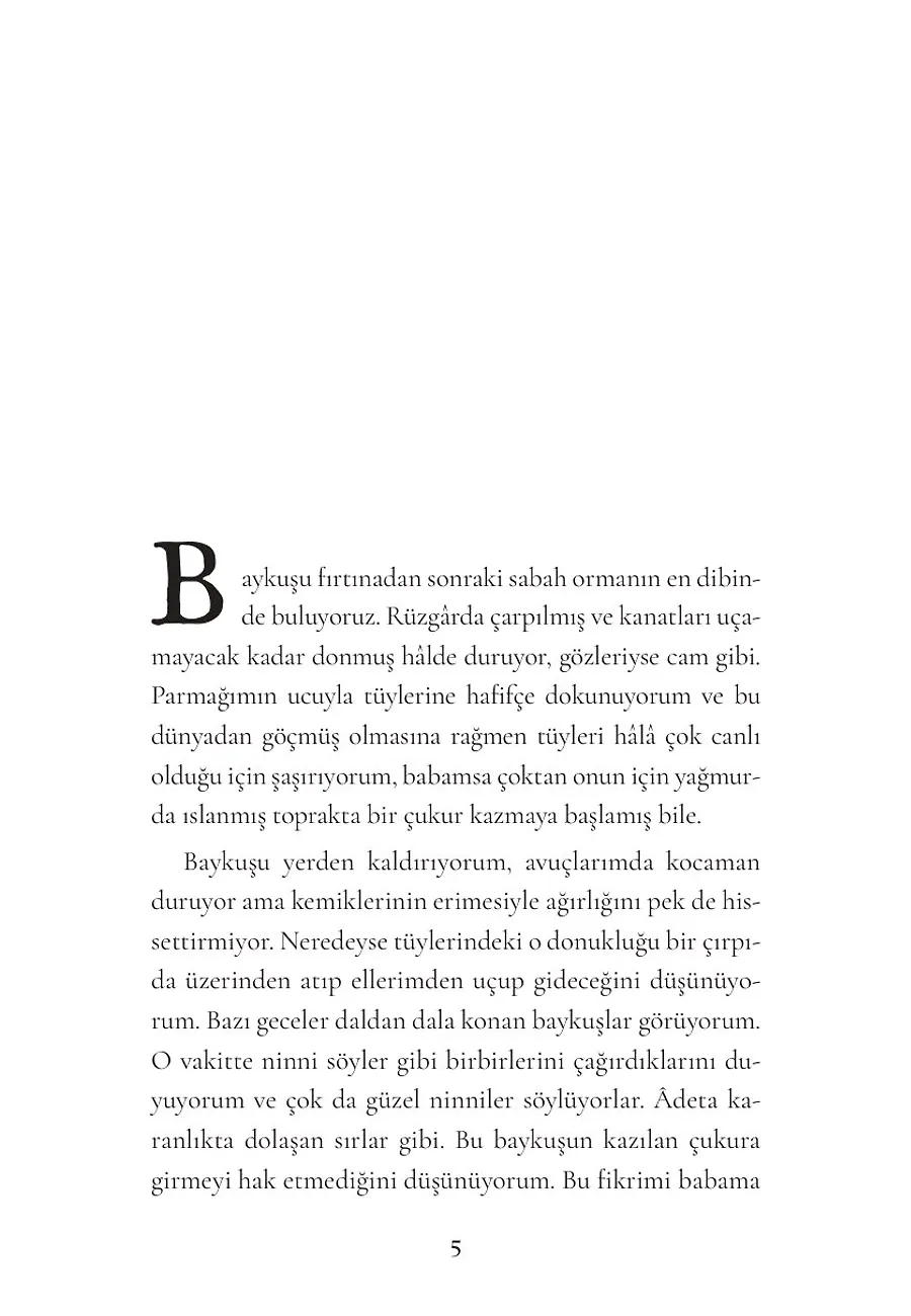 October, October – Sayfa 1
