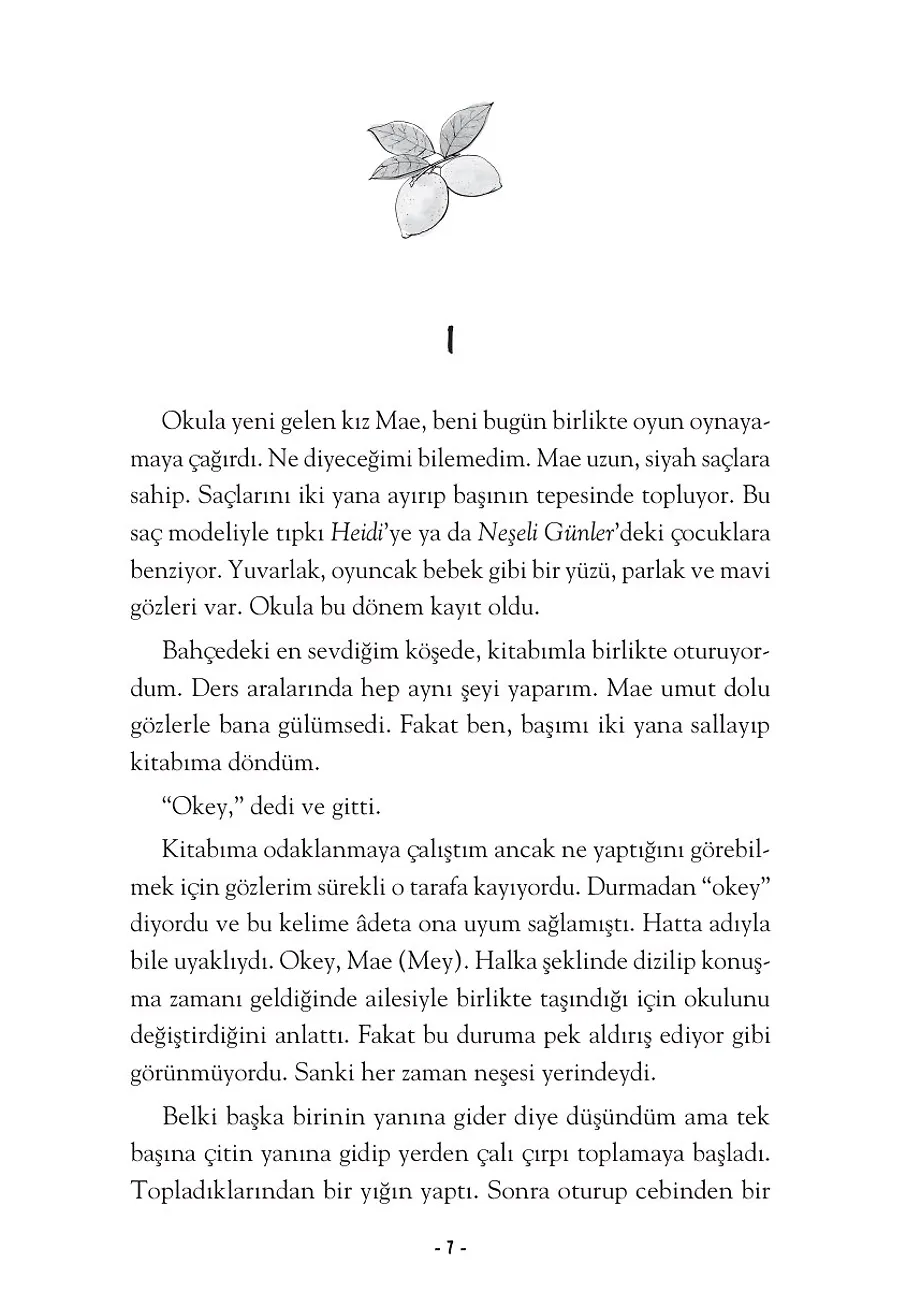 Limon Kütüphanesi – Sayfa 4