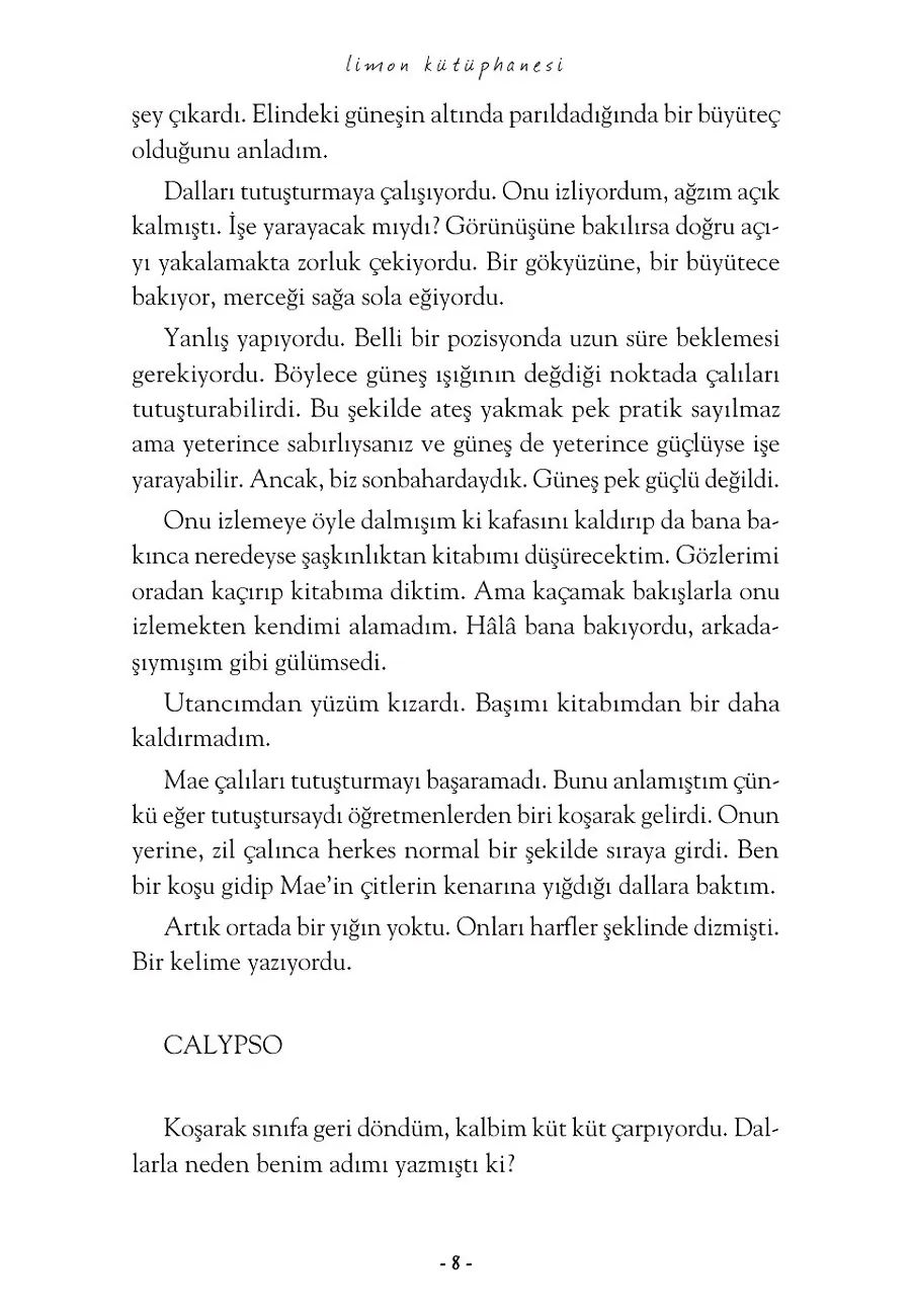 Limon Kütüphanesi – Sayfa 5