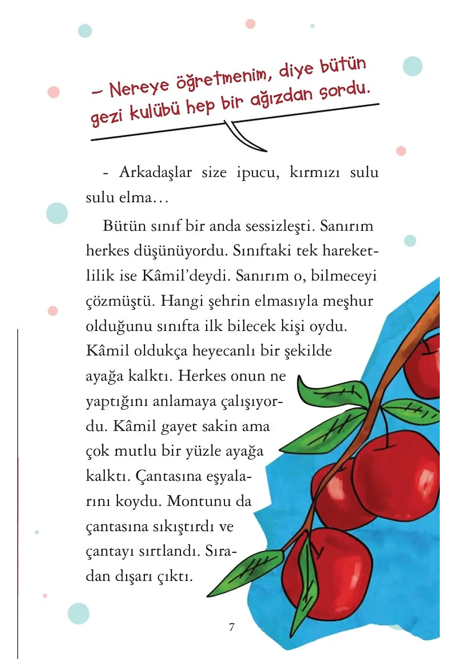Levent Türkiye'yi Geziyorum 7 Set (5 Kitap) – Sayfa 3