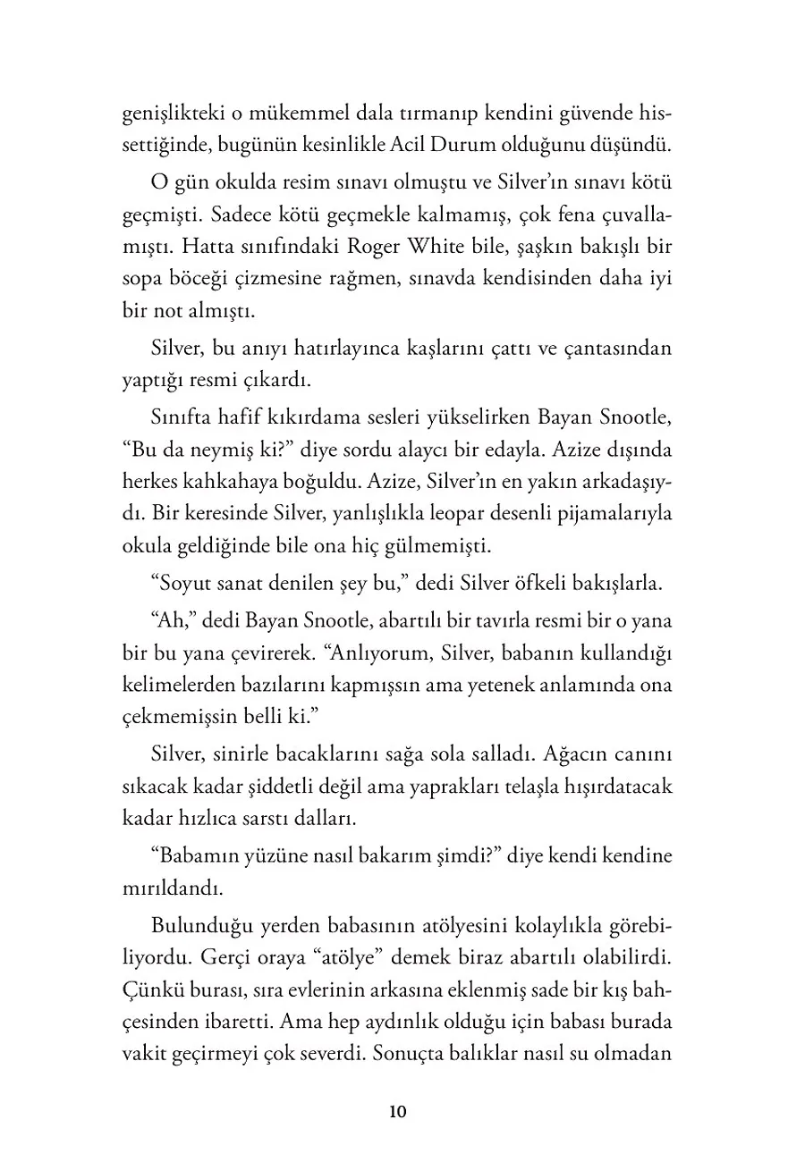 Kaplumbağa Dolunayı (Ciltli Şömizli) – Sayfa 2