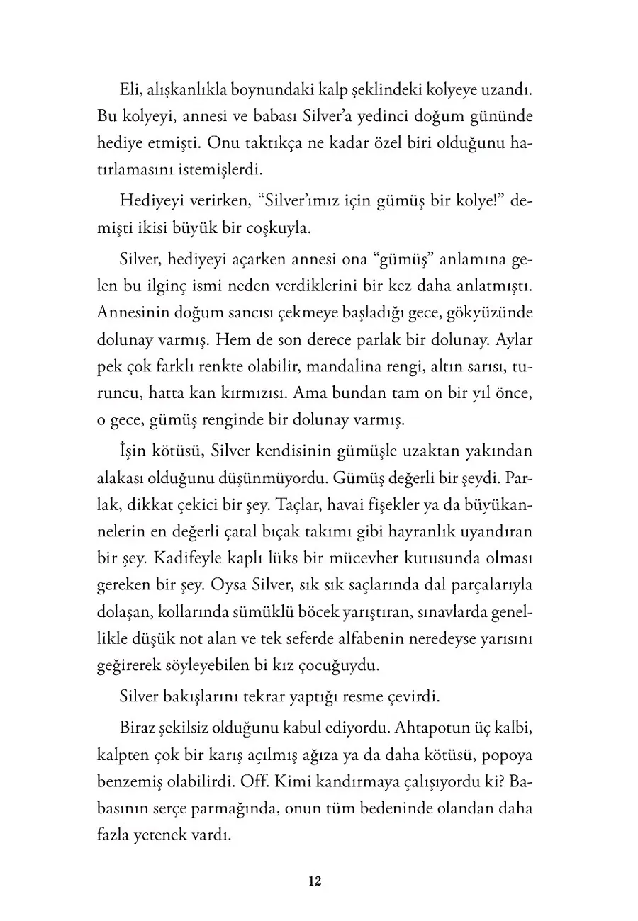 Kaplumbağa Dolunayı (Ciltli Şömizli) – Sayfa 4